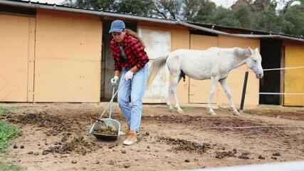 Girl cleans up horse poop in a horse pasture using a broom and dustpan. High quality 4k footage