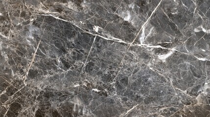 Obraz premium Dark marble surface with intricate patterns and natural veining showcasing elegance and sophistication in design