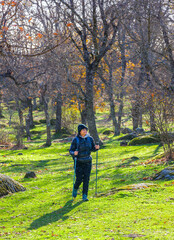 A woman hiker trekking through La Herrería forest. San Lorenzo de El Escorial. Spain.