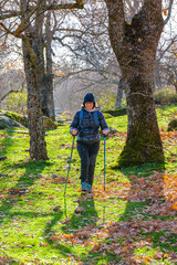 A woman hiker trekking through La Herrería forest. San Lorenzo de El Escorial. Spain.