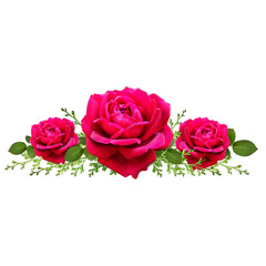 flowers with transparent background 