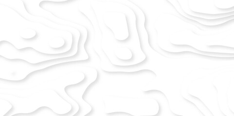 Abstract grey curve overlap on white luxury background vector illustration. Abstract white paper cut grey shadow background vector illustration.