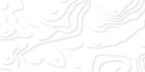 Abstract grey curve overlap on white luxury background vector illustration. Abstract white paper cut grey shadow background vector illustration.