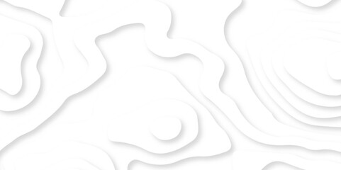 Abstract white paper cut grey shadow background vector illustration. Abstract grey curve overlap on white luxury background vector illustration.