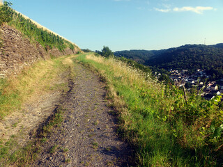 Feldweg durch Weinberge mit Stützmauer bei Fell auf dem Wanderweg Moselsteig-Seitensprung 