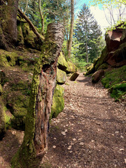 Schmaler Wanderweg durch Felsen im Pfälzerwald bei Pirmasens im deutschen Bundesland Rheinland-Pfalz. Aussicht vom Premium-Wanderweg Felsenwald Pirmasens.