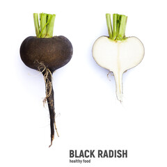Fresh black Spanish radish isolated on a white background.