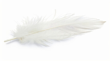 Obraz premium white feather isolated on white