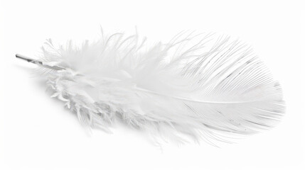 Fototapeta premium white feather isolated on white