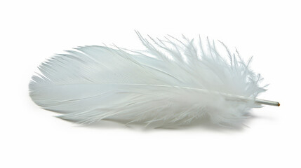 Fototapeta premium white feather isolated on white