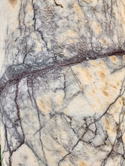 ancient stone marble texture