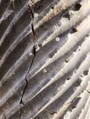 ancient stone marble texture