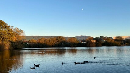 Río Ulla a su paso por Valga, Galicia