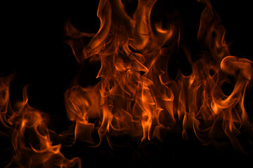 Fototapeta premium Fire flame isolate on black background. Burn flames, abstract texture. Art design for fire pattern, flame texture.