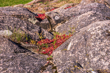 Festung Bohus, Bohuslän, Schweden