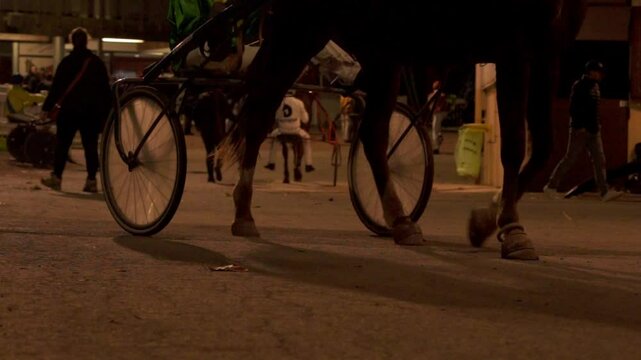 vid&eacute;o en slow motion, d'un cheval &eacute;quip&eacute; de son sulky et jockey, revenant &agrave; l'&eacute;curie, mouvement de suivi transversal sur les pattes du cheval