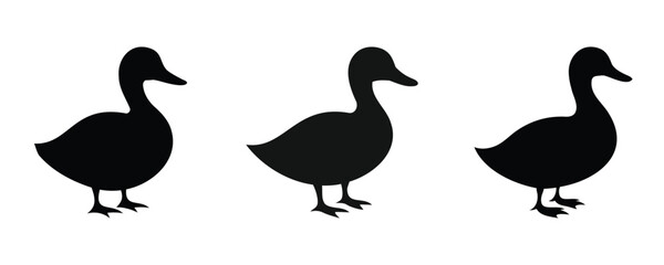 Three black duck silhouettes in a row, showcasing simple and minimalistic animal shapes, ideal for icons, patterns, or design projects