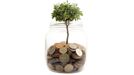 Coins in Glass Jar with Tree Sprouting