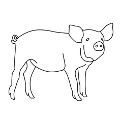 Vector linear black and white illustration of a pig