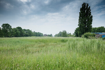 Obraz premium Overcast sky above a grassy waterway bordered by trees and a brick building. Dense vegetation fills the foreground.