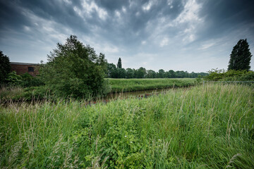 Fototapeta premium Overcast sky above a grassy waterway bordered by trees and a brick building. Dense vegetation fills the foreground.