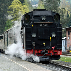 Obraz premium zittauer schmalspurbahn