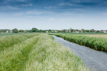 Canal winds through rural landscape,  with fields and houses in the background.  Cloudy sky overhead.