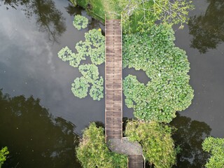 A bridge over a pond with lily pads