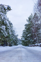 Obraz premium Winter village landscape. Signs on the road. Christmas trees under the snow.