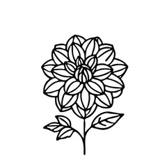 Dahlia flower line art vector design 