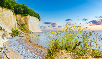 Chalk coast in the Jasmund National Park on the German island of Rügen