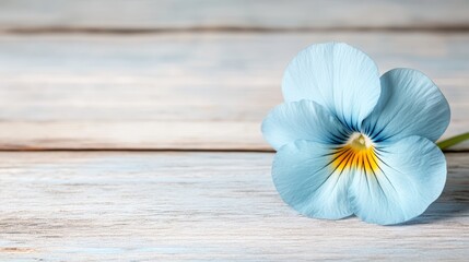 Obraz premium A single blue flower sitting on top of a wooden table