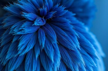 Obraz premium close up of blue flower