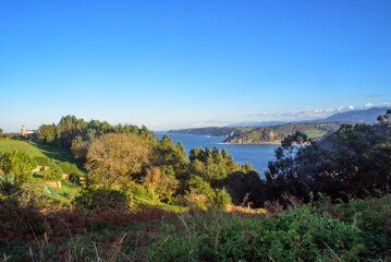 Fototapeta premium Bahía en litoral boscoso en Asturias