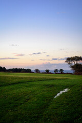 Anochecer en pradera verde frente al mar