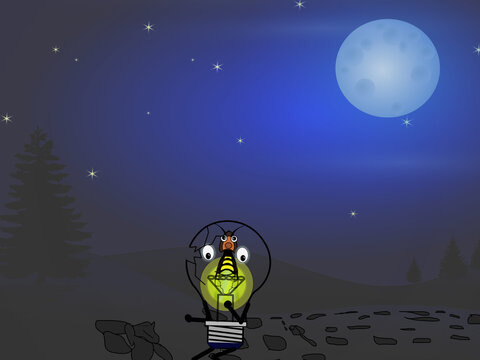moon in the night