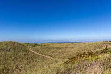 Fototapeta premium Beach view with grass and distant ocean at Mellbystrand, Sweden