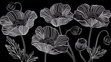 Monochrome Vector Line Art with Poppies for Black Wall Art Decor
