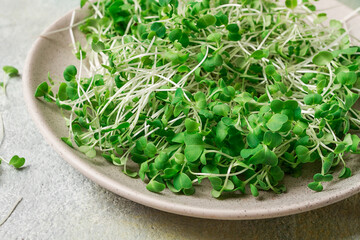 fresh micro-greenery, on a plate, top view, no people,