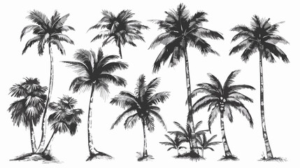 Tropical Coconut Palm Trees Vector Sketch Illustration for Natural Landscape Designs