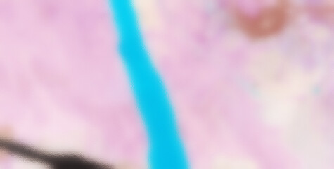 Vibrant and Dynamic Abstract Delight with a Multitude of Colors and Patterns