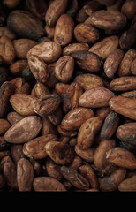Cocoa beans background