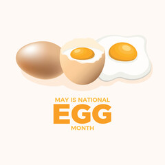 May is National Egg Month poster vector illustration. Brown fresh eggs icon set. Fried egg vector. Broken egg icon. Template for background, banner, card. Important day
