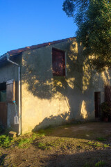 Obraz premium Sombra de árbol grande sobre fachada de casa rural