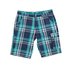 Men's checkered shorts with pockets. Knee-length shorts. Front view. 
Isolated image on a white...