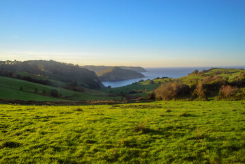 Bahía y horizonte marino tras praderas verdes en litoral de Asturias