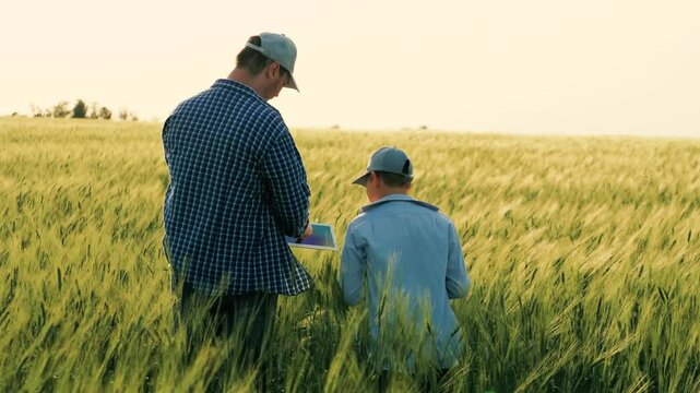 child kid baby son boy with father farmer working wheat field, agriculture, farmer with tablet inspecting wheat ripening field, family farming business, little son child helping father farmer green