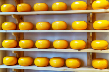 Shelves with cheese, Amsterdam, Netherlands