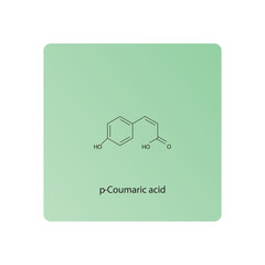 p-Coumaric acid skeletal structure diagram.hydroxycinnamic acid compound molecule scientific illustration.