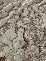 Travertine, texture of fragile stone. Limestone rock top view close-up. Grunge plaster texture for background. Natural rock patterns. Geology and quarrying